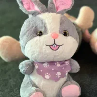 عروسکها کاملا نو هستن مغازه رو جمع کردم|اسباببازی|آمل, |دیوار