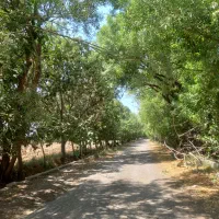 ۲ هکتار زمین  سند تک برگ موقعیت استراتژیک