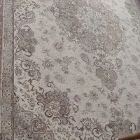 قالی ۱۲ متری