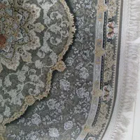 فرش بیضی 1200شانهتراکم3600|فرش|فولادشهر, B8|دیوار