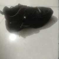 کفش|کیف، کفش، کمربند|پاکدشت, پاکدشت (مامازند)|دیوار