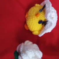 کلاه دار جوجه کوچولو