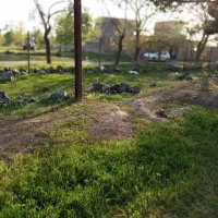 خونه-ویلایی-بزرگ-با-فضای-سبز