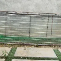 قفس جوجه و بلدرچین|لوازم جانبی حیوانات|چمستان, |دیوار