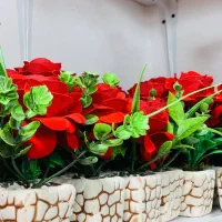 گل مصنوعی|گل مصنوعی|تالش, جوکندان|دیوار