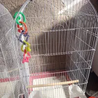 فروش دو عدد قفس طوطی سانان بزرگ