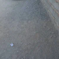 پژو|خودرو سواری و وانت|سراوان, |دیوار