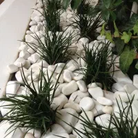 فروش مغازه بازار روز