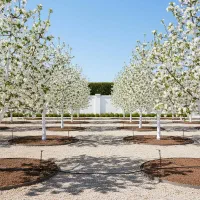 مهندسی فضای سبزدارای بورد تخصصی از حاجت‌تپه آنکارا