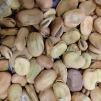 فروش باقلا شاخ بزی