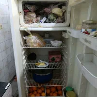 یخچال پارس سالم