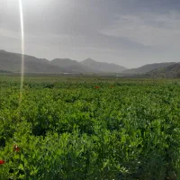 فروش-زمین-گاراژ