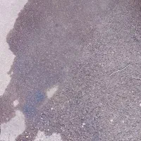 سگ پیدا شده