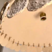 لوستر راگبل|لوستر و چراغ آویز|نیشابور, دارایی|دیوار