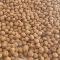 گردو درجه یک