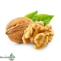 تولید و عرضه نهال گردو بلغاری|خدمات باغبانی و درختکاری|ایلام, |دیوار