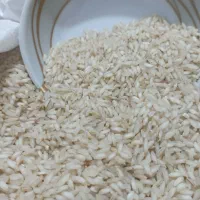 برنج عنبربو
