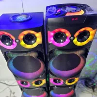 باند اسپیکر دوقلو