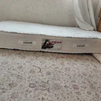 تشک نوجوان یاتاش
