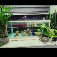 اکواریوم 100در 42،بدون وسایل داخلش
