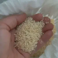 برنج برای خوراک جوجه وکبوتر