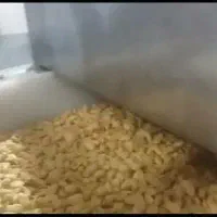 کار در کارخانه بادام زمینی|استخدام صنعتی، فنی، مهندسی|سبزوار, پامنار|دیوار