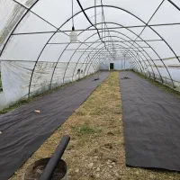 سرایدار و باغبان|استخدام سرایداری و نظافت|شفت, |دیوار