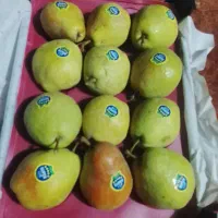دوتون گلابی کیلو 90