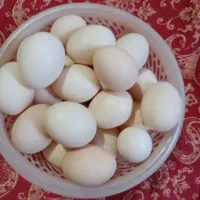 فروش ۵۰عددتخم مرغ محلی|خوردنی و آشامیدنی|شوشتر, |دیوار