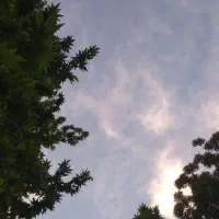 پرستار سالمند