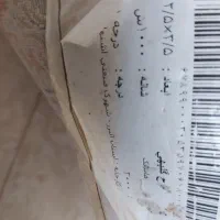 فرش ۹ متری به رنگ گلبهی ملایم ۱۰۰۰ شانه|فرش|کیش, |دیوار