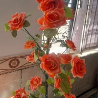 گل مصنوعی|گل مصنوعی|شیراز, کوشک میدان|دیوار