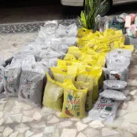 پخش خاک برگ جوان|گل و گیاه طبیعی|کرج, شهرک یاس شمالی|دیوار
