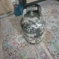 پیک نیک گاز با مارک استاندارد روشه