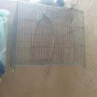 فروش قفسه