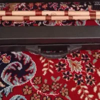 هارد کیس نی