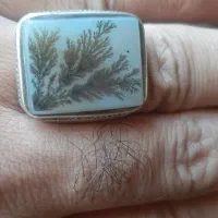 انگشتر شجر طبیعی کهنه|جواهرات|تهران, دولاب|دیوار