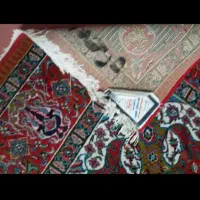 یک فرش  دوازده متر تمیز  قیمت چهار میلیون تومان|فرش|شاهرود, |دیوار