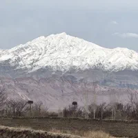 44 قصب زمین دو نبش محصور جهت ویلا /انبار /پارکینگ