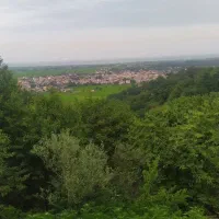 اجاره خانه ویلایی ۱۰۰ متری ۲ خوابه در کوه  اسالم