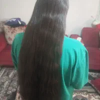 مودسته ایی و بار بالاترین قیمت تهران و البرز
