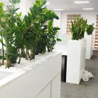 خدمات باغبانی گل کاری سم پاشی هرس تعویض خاک گلدان