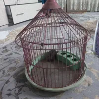 قفس پرنده طرقه