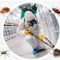 سمپاشی کل اهواز سم پاشی ساس سوسک موریانه تضمینی