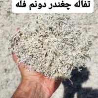 تفاله چغندر