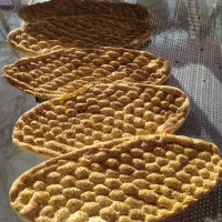 نیازمند شاطر بربری دستگاه پنج خوب گرد بلند سالم