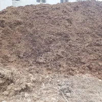 کود حیوانی گاو گوسفند