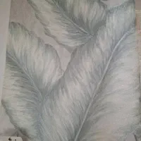 فروش ویژه کاغذ دیواری  .. کناف