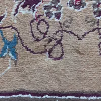 فرش 12 متری دست دوم پانصدشانه|فرش|تکاب, |دیوار