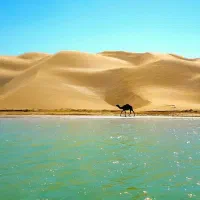 لیدر محلی گردشگری چابهار